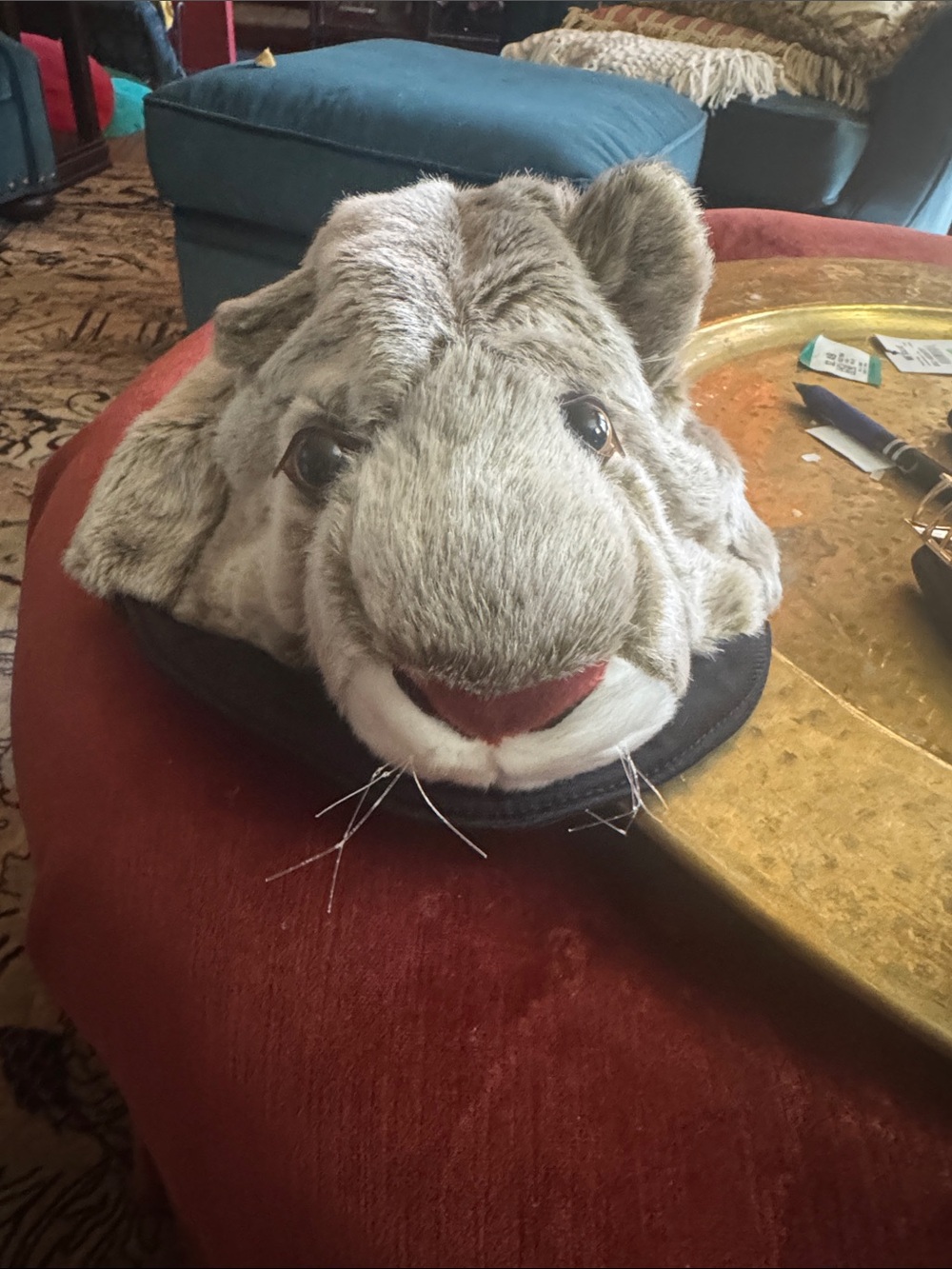 Plush Gray Lion Kids Hat with Soft Face